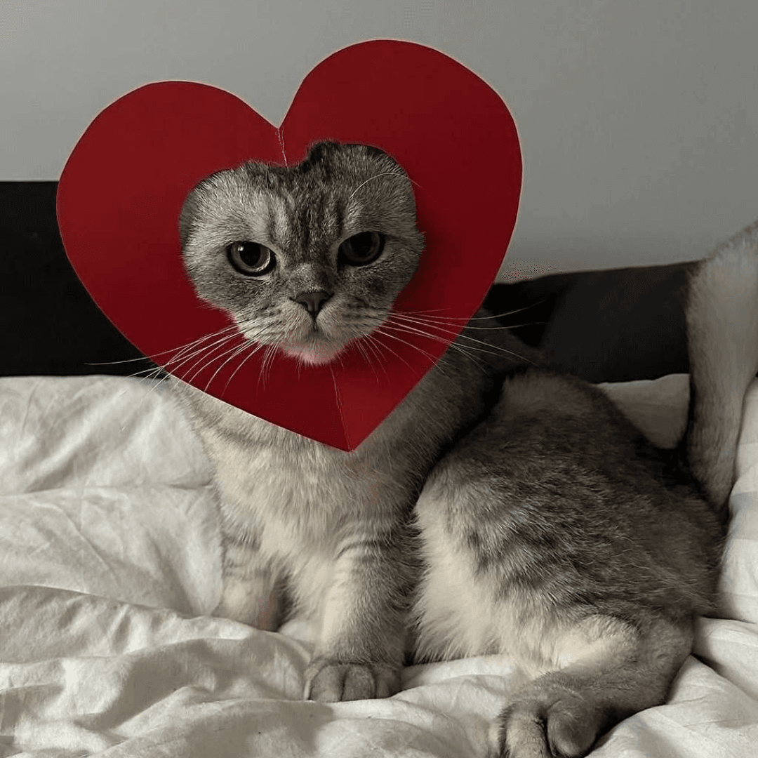 Valentýnský Gift Guide: Pro tvoji girlie