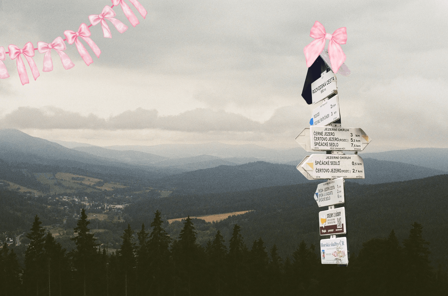„Alpy tě ohromí, Karle, ale tohle – to tě dojme.“ Aka guide na solo trip na Šumavu